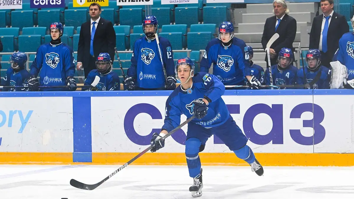 Снежные Барсы