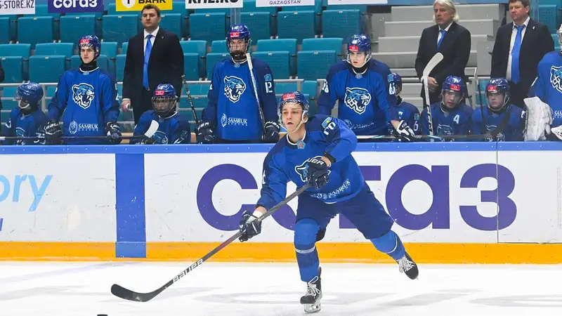 Снежные Барсы