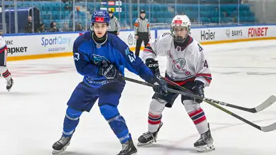 &quot;Снежные Барсы&quot;