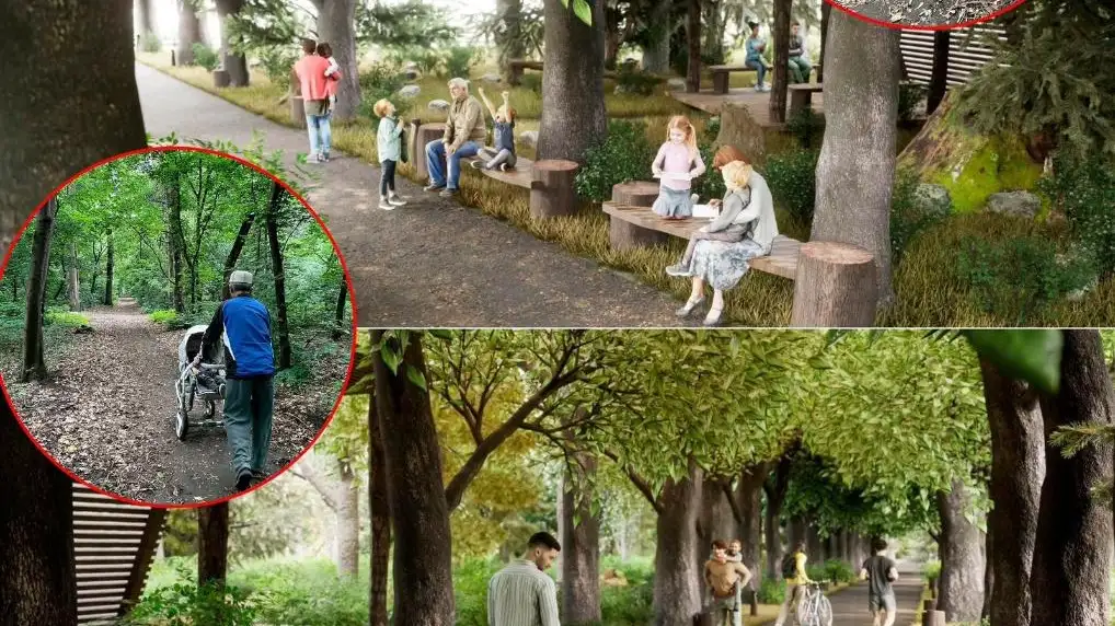 В Алматы стартовало преображение Рощи Баума — одного из самых знаковых природных уголков мегаполиса.