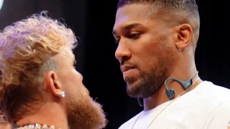 Экс-чемпион мира считает, что бой между Джошуа и Полом может навредить боксу