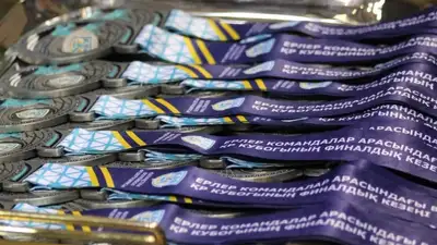 Казахстанская федерация волейбола вынесла суровый приговор судьям матча Кубка Казахстана