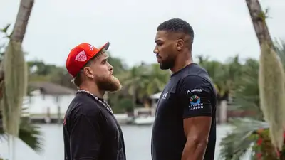 Мощный нокаутом завершился бой Джошуа - Пол 