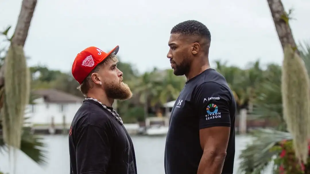 Мощный нокаутом завершился бой Джошуа - Пол 