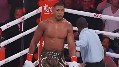 Рефери останавливает бой, фиксируя победу нокаутом Энтони Джошуа над Джейком Полом