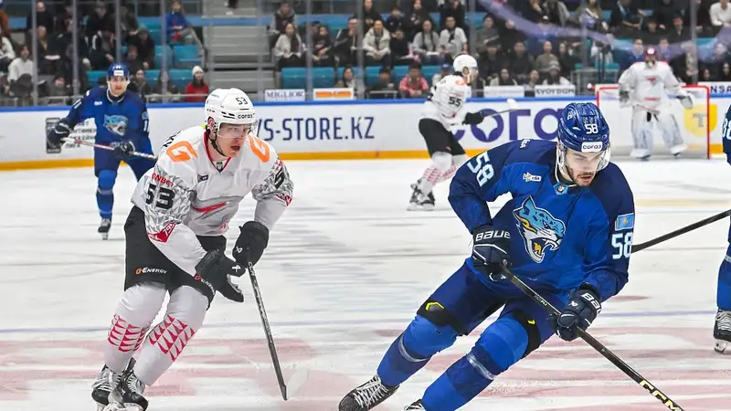 Фото: ХК "Барыс"