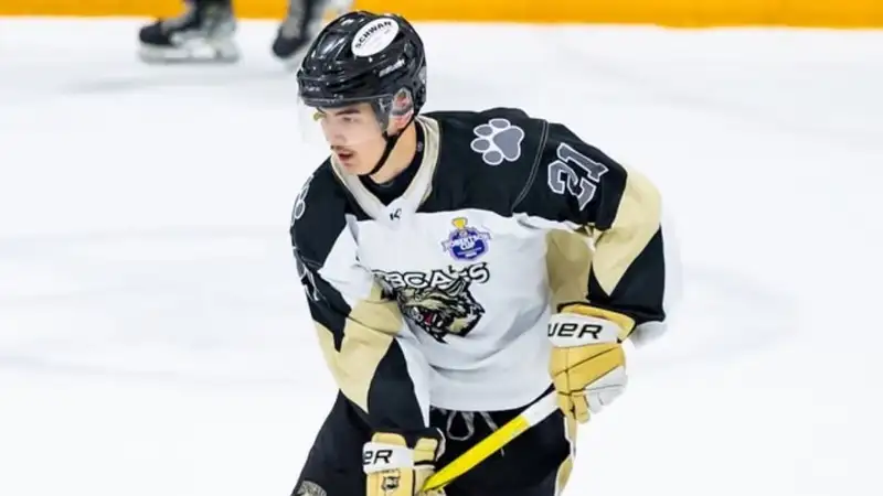 Казахстанский хоккеист отметился голом в матче европейского чемпионата