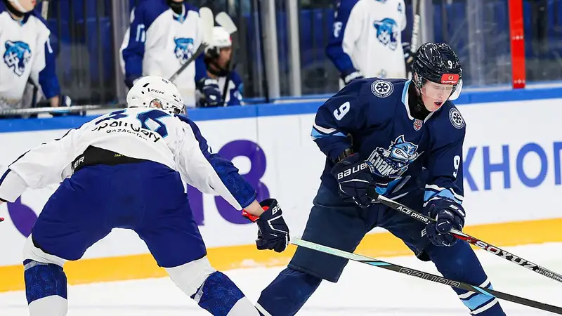 Фото: ХК "Барыс"