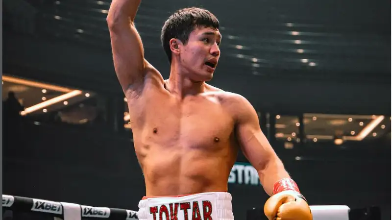 Тохтар подерется в ММА