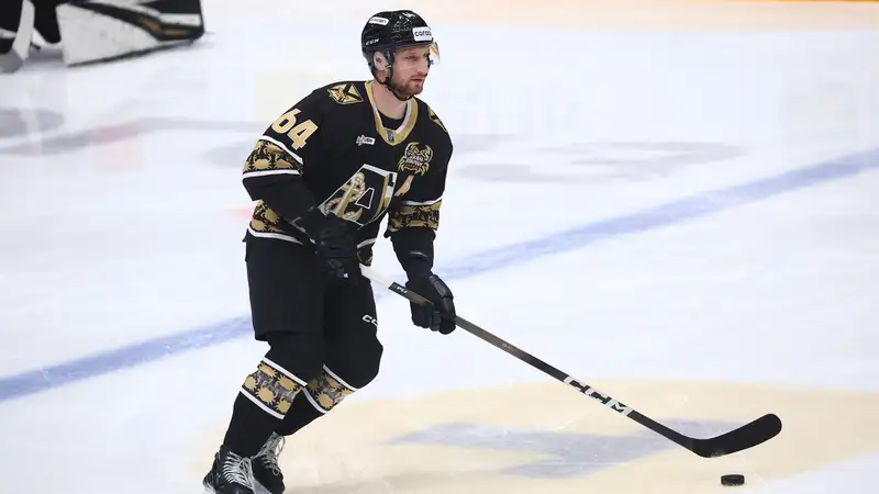 Аркадий Шестаков