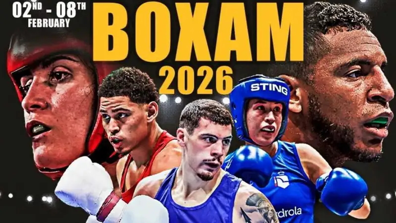 Boxam Elite-2026