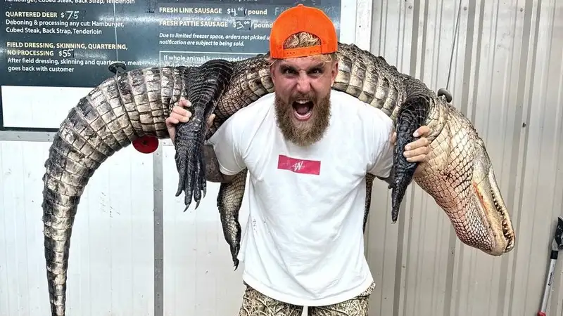 Джейк Пол рассказал, когда проведёт следующий бой