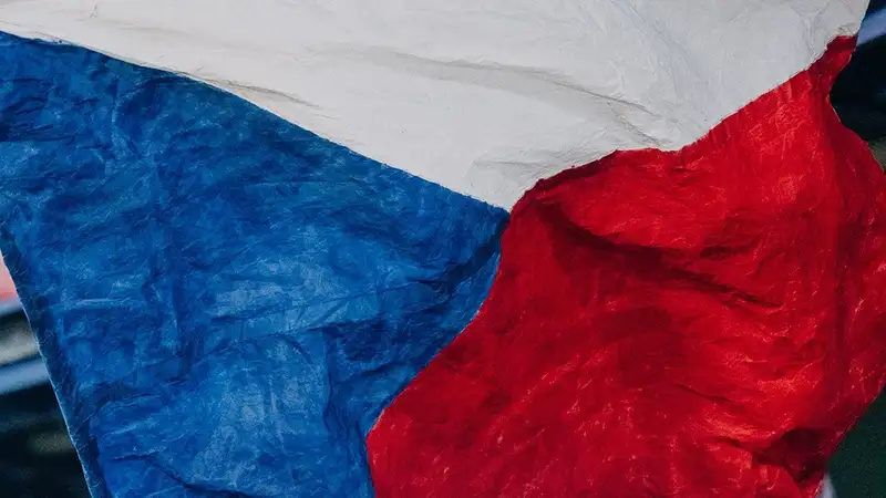 Тренер Чехии подал в отставку 