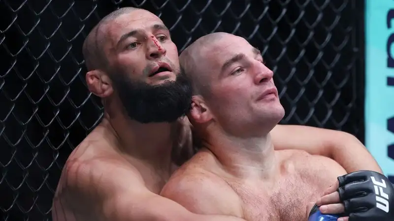 Фото: UFC