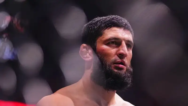 Фото: UFC
