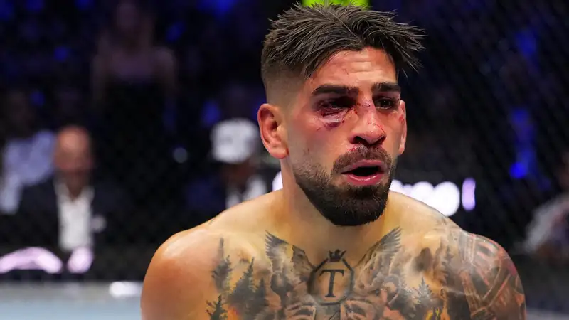 Фото: UFC