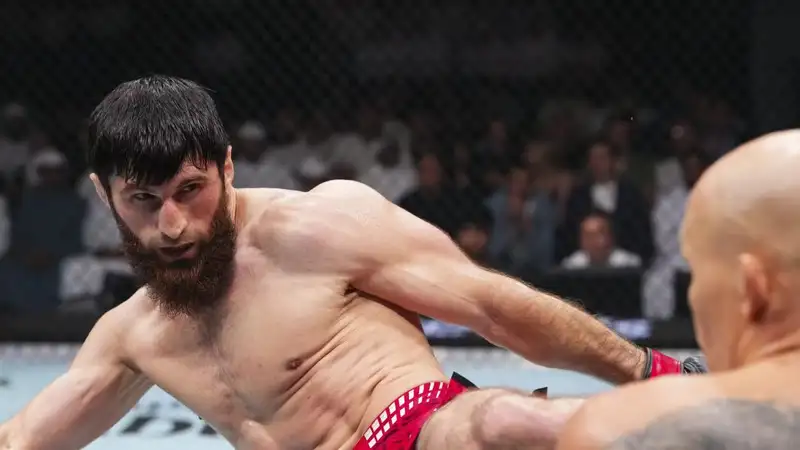 Фото: UFC