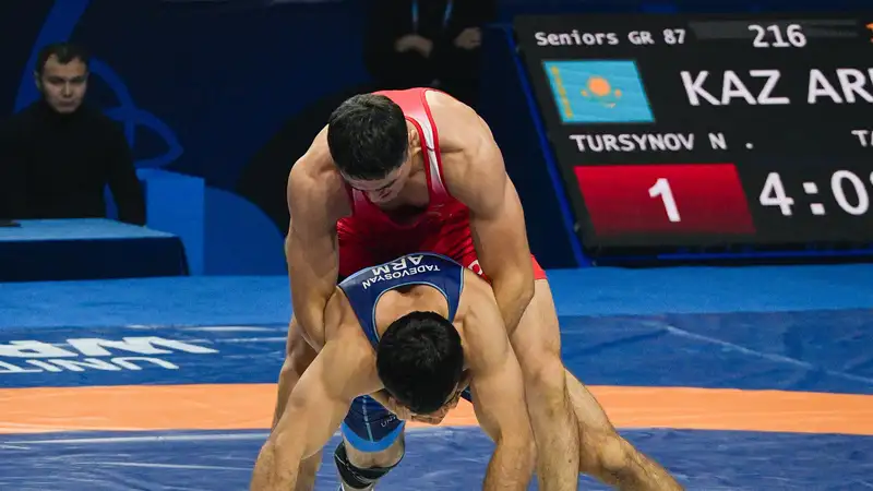 Чемпионат мира по борьбе