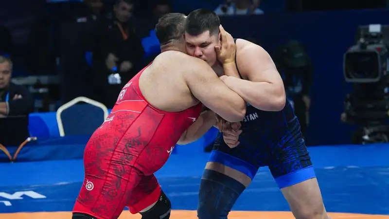 Чемпионат мира по борьбе