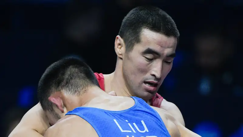 Чемпионат мира по борьбе